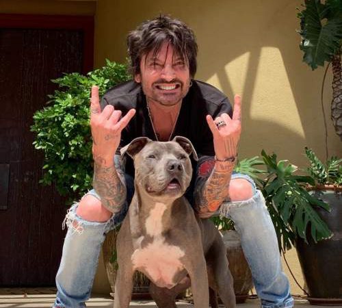 Tommy Lee a famous US Drummer artist, personal life, career and Net worth