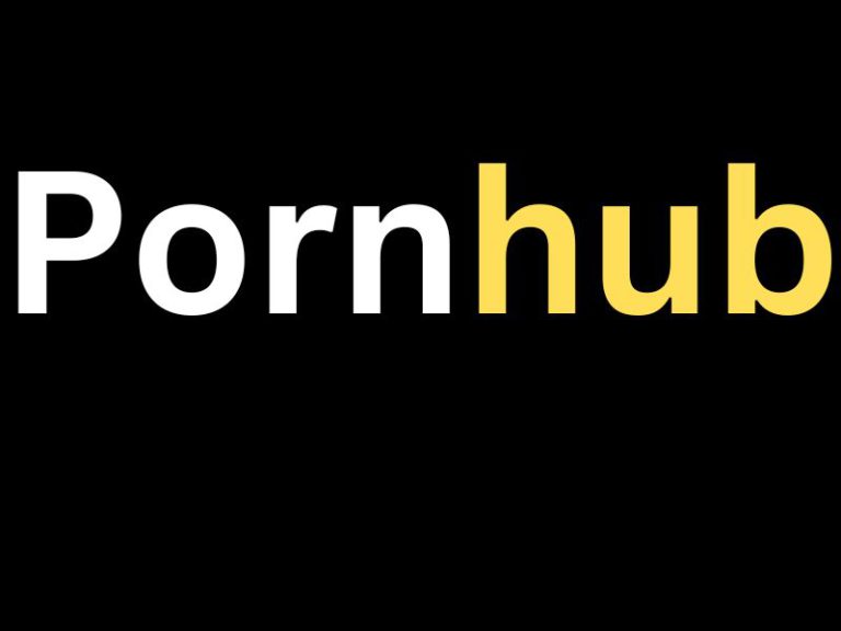 Pornhub Net Worth