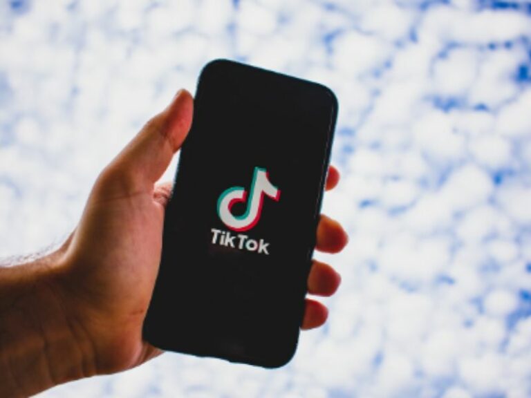  The Risks of Deceptive TikTok Content and the Disappearance of Flo
