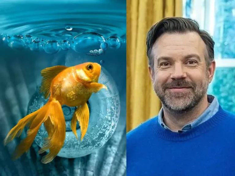 What Does “Be A Goldfish” Really Mean in Ted Lasso?