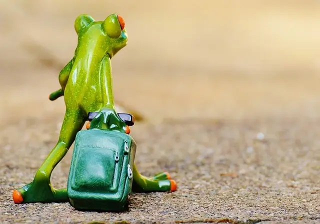 Travel in budget