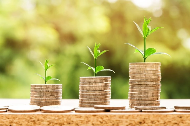 investmetn strategy